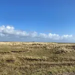 6 Person In *